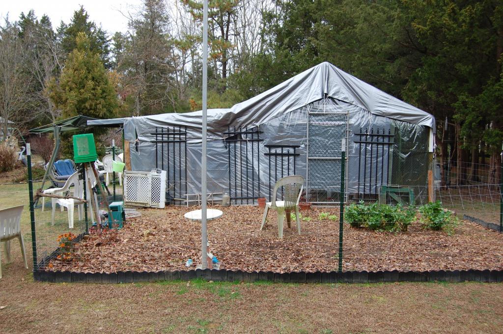 91292_homeless_chicken_shelter_w_squatters_004.jpg