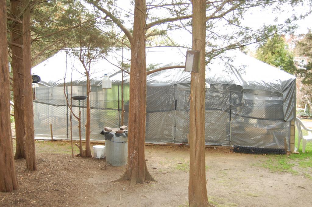91292_homeless_chicken_shelter_w_squatters_006.jpg