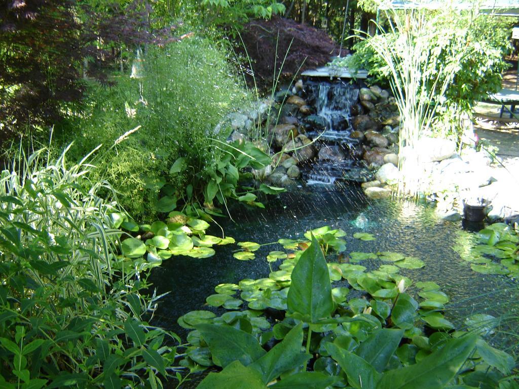 91292_pond_019.jpg