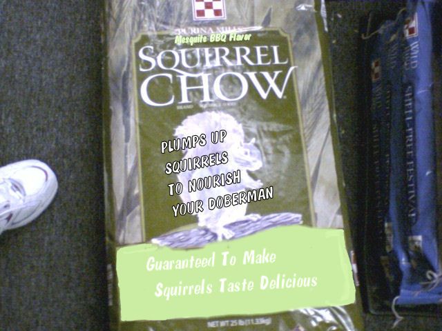 91292_squirrel_chow.jpg