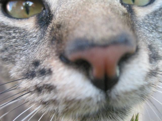 91615_june_9_2011_222.jpg
