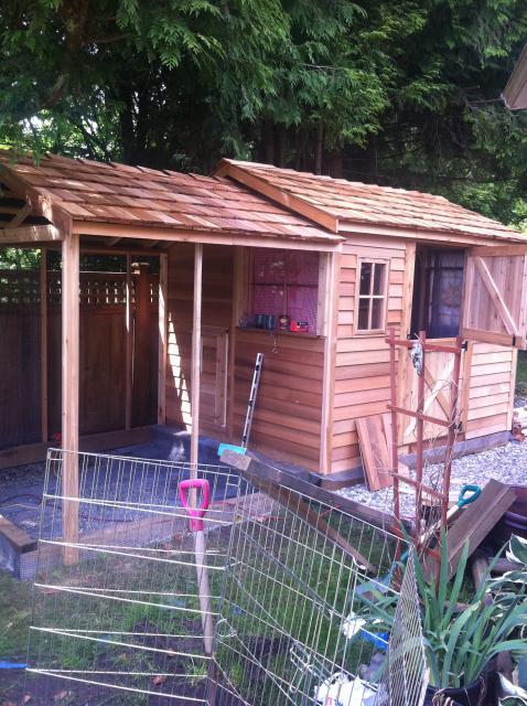 91783_chicken_coop_and_run_unfinished.jpg