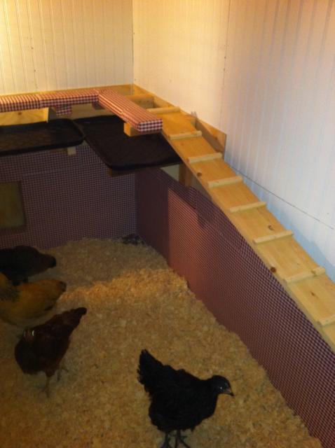 91783_hens_roost_ladder.jpg