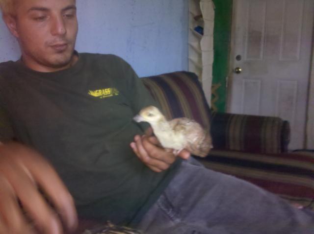 91919_img_20110516_104419.jpg
