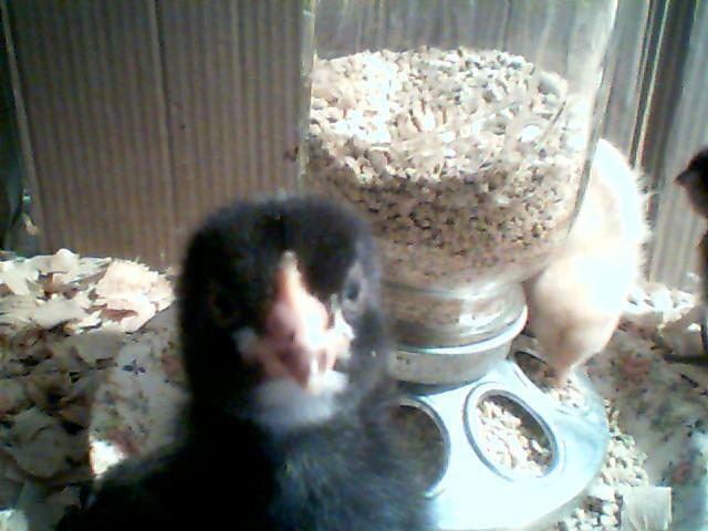 91949_picture_056.jpg