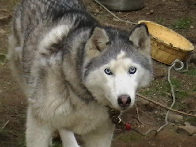 9198_imga0159.jpg