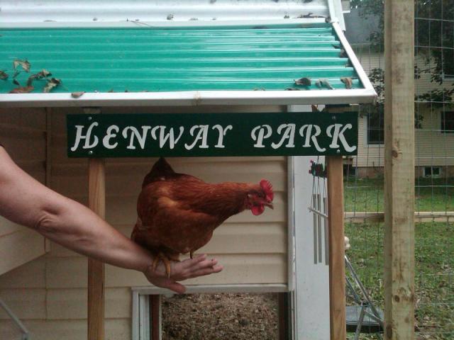 92115_henway_park.jpg