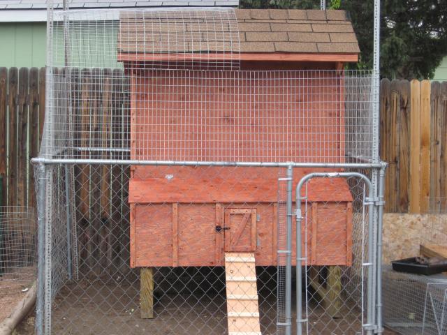 92210_chicken_coup_108.jpg
