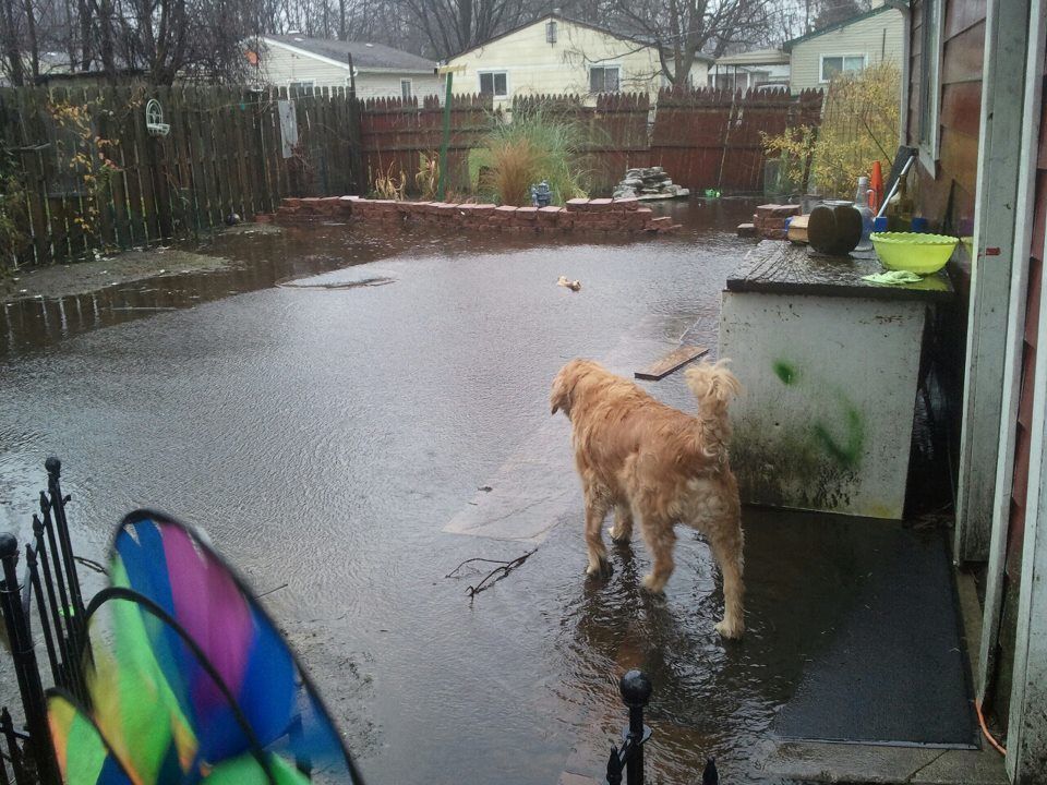 9221_backyardalex.jpg