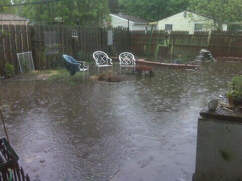 9221_mybackyardflood.jpg