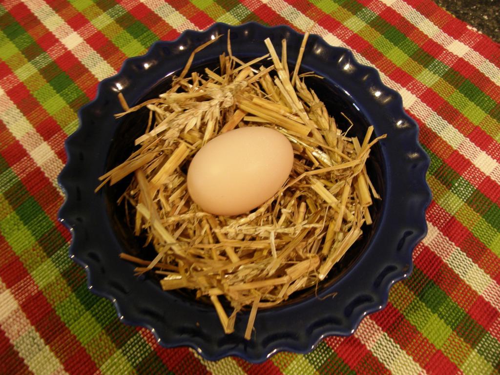92220_first_egg_003.jpg