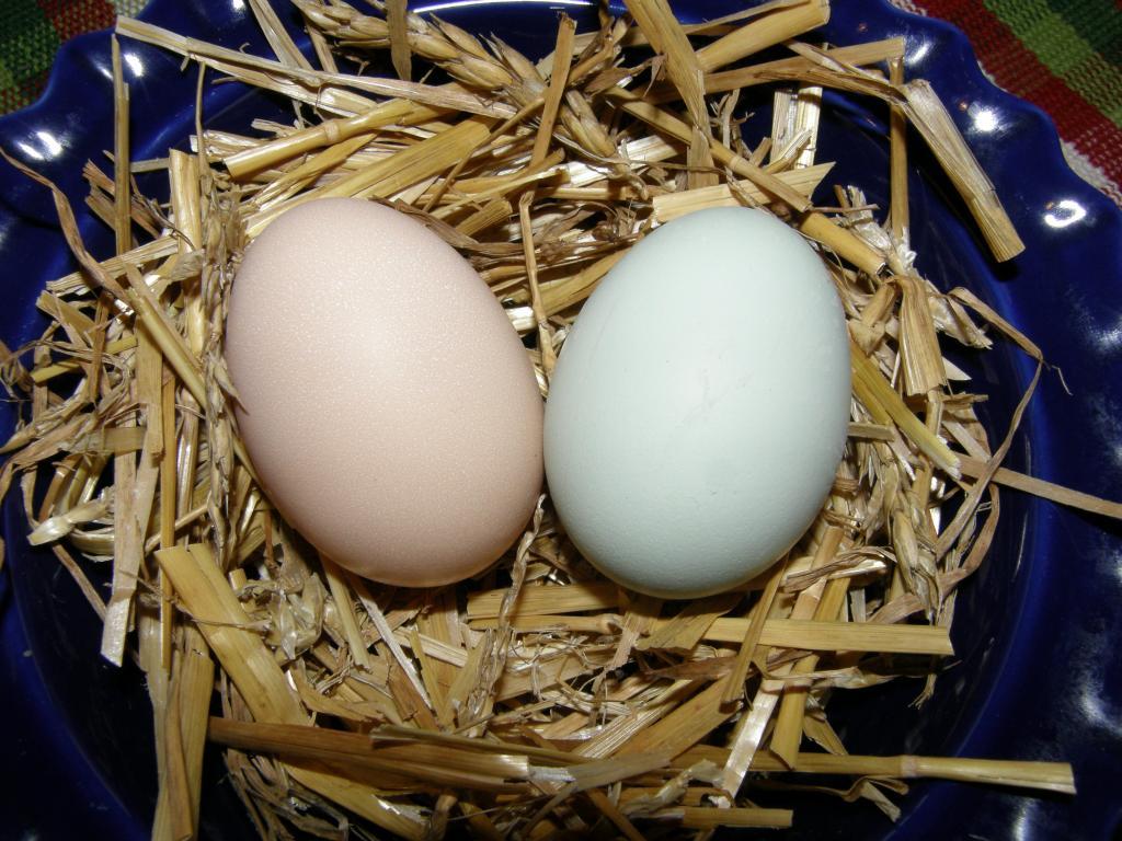 92220_firstegg2_007.jpg