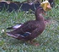 92223_im005802.jpg