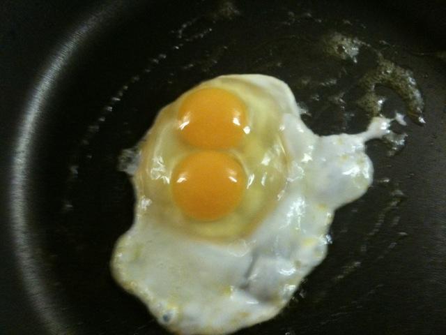 92303_egg.jpg