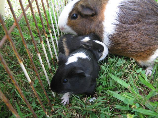 92323_july_2011_017.jpg