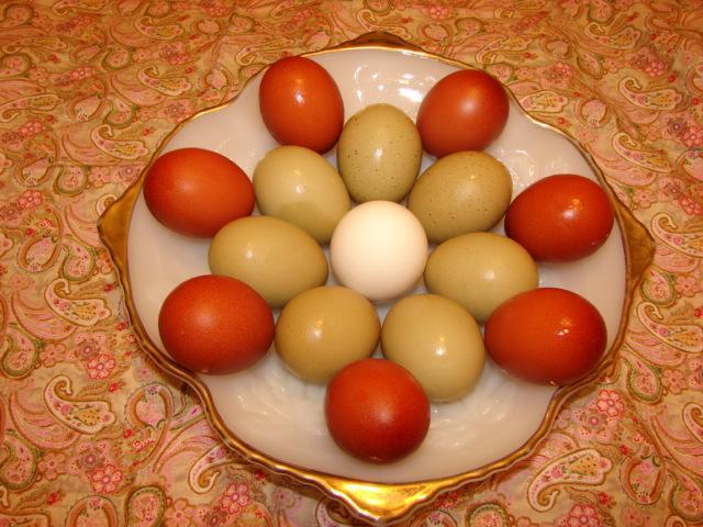 92428_dsc03728.jpg