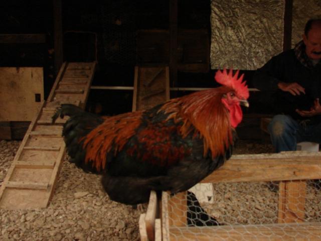 92428_dsc03787.jpg