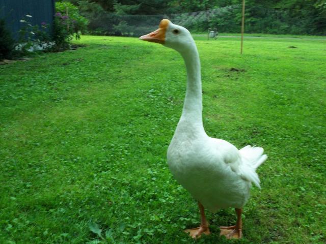 92444_104_0004.jpg