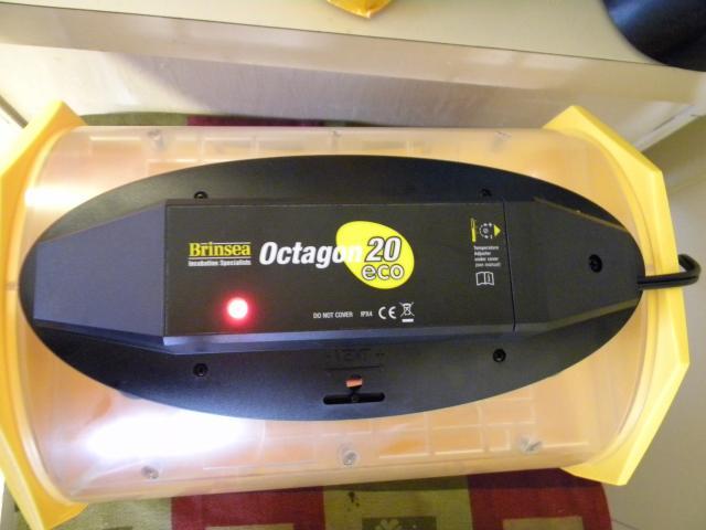 92540_dscn6461.jpg