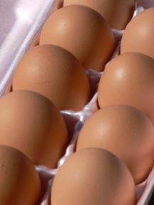 92697_eggs.jpg