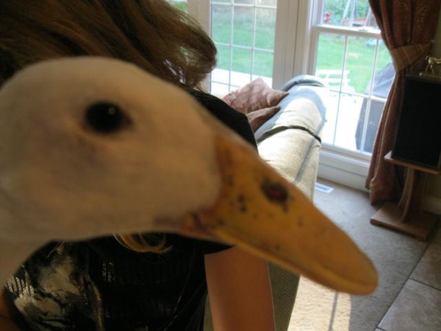 92755_img_0627.jpg