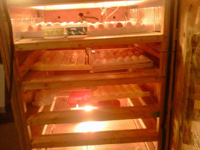 92928_020inc20nyd.jpg