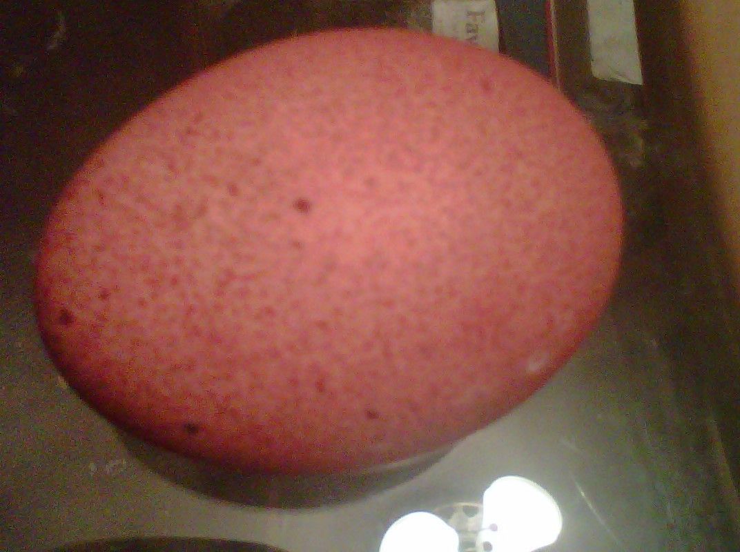92928_020wellie20egg.jpg