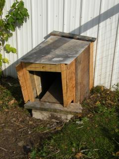 92936_chicken_entry_after.jpg