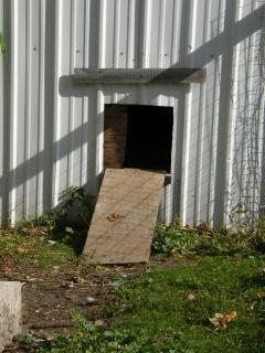 92936_chicken_entry_before.jpg
