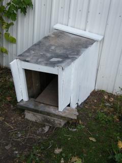 92936_chicken_entry_painted.jpg