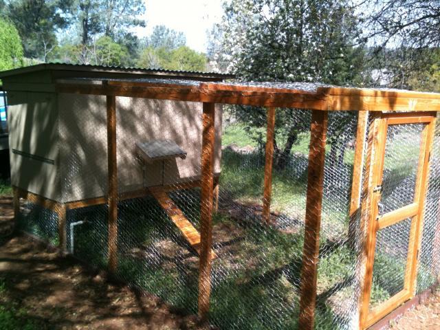 92957_chicken_coop_completed.jpg