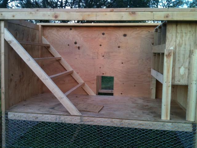 92957_inside_chicken_coop_early_stages.jpg