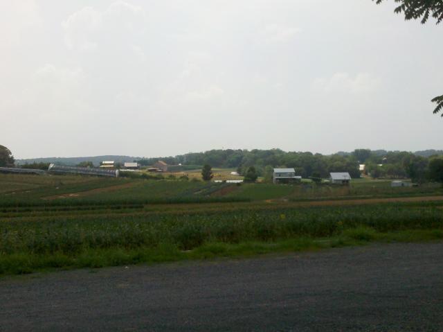 92994_2011-06-11_14-45-11_540.jpg