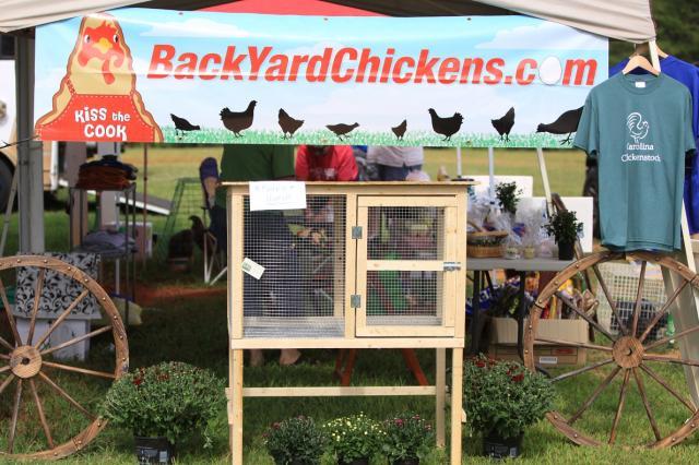 93314_chickenstock_052.jpg