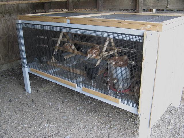 9332_brooder_in_coop.jpg