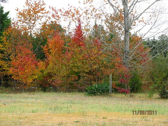 9332_farm_foliage_11-11_roundpen.jpg