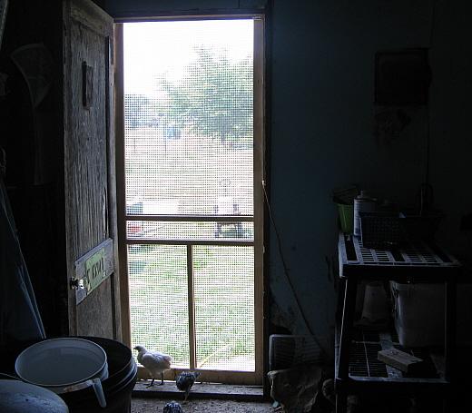 9332_inside_brooder_room_door.jpg
