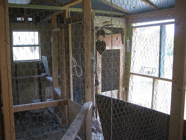9332_inside_silkie_shed.jpg