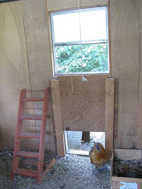 9332_inside_south_side_shed.jpg