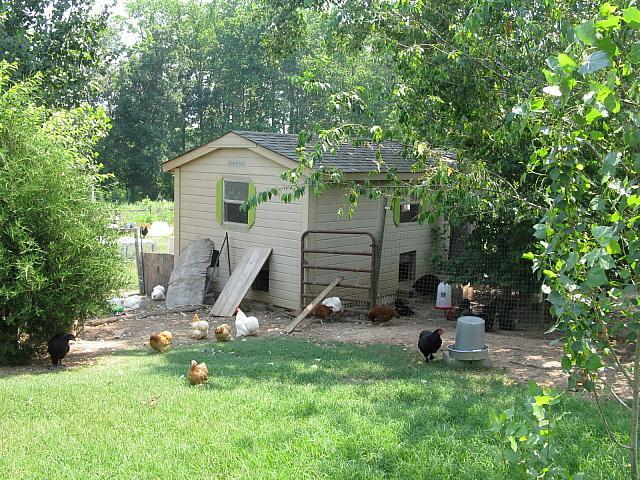 9332_west_n_south_sides_of_shed.jpg