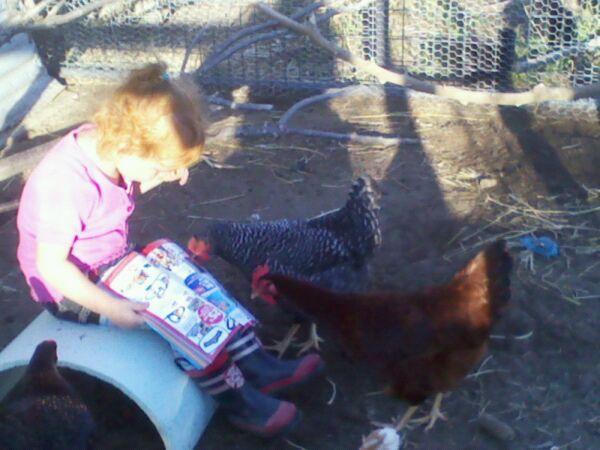 93348_brooke_and_her_chickens.jpg