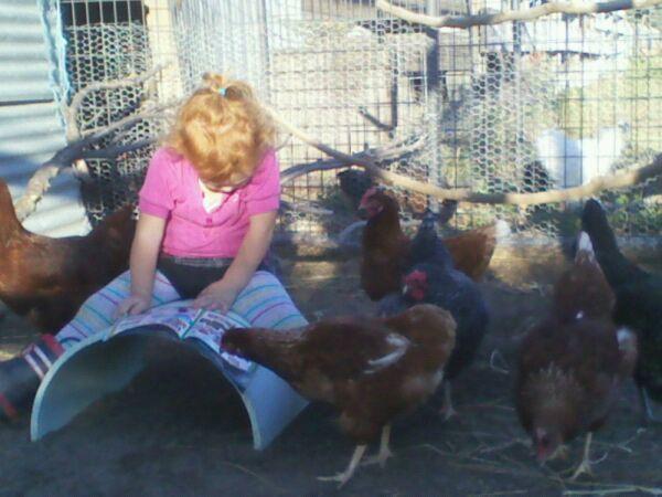93348_girl_and_her_chickens.jpg