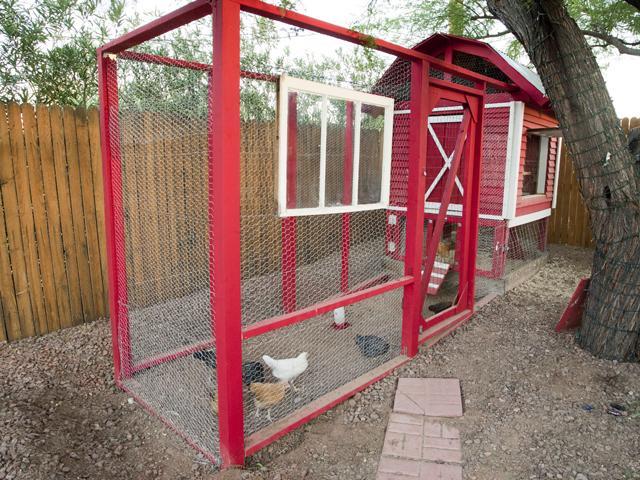93367_chez_poulet_01.jpg