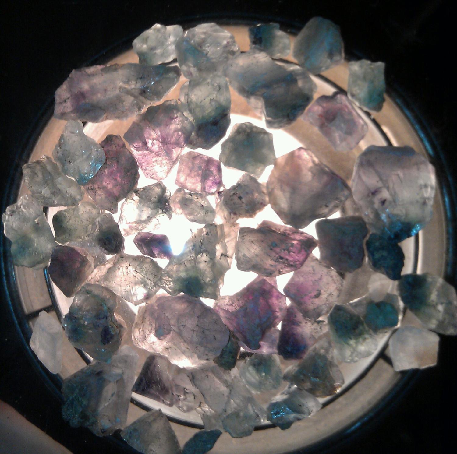 93393_imag0459-1.jpg