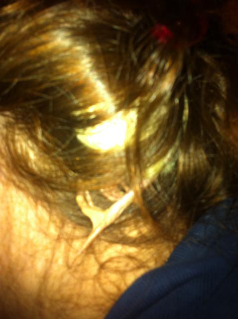 93425_mom_iphone_007.jpg