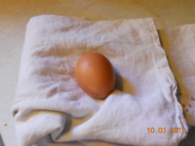 93469_first_egg_10-03-11_001.jpg