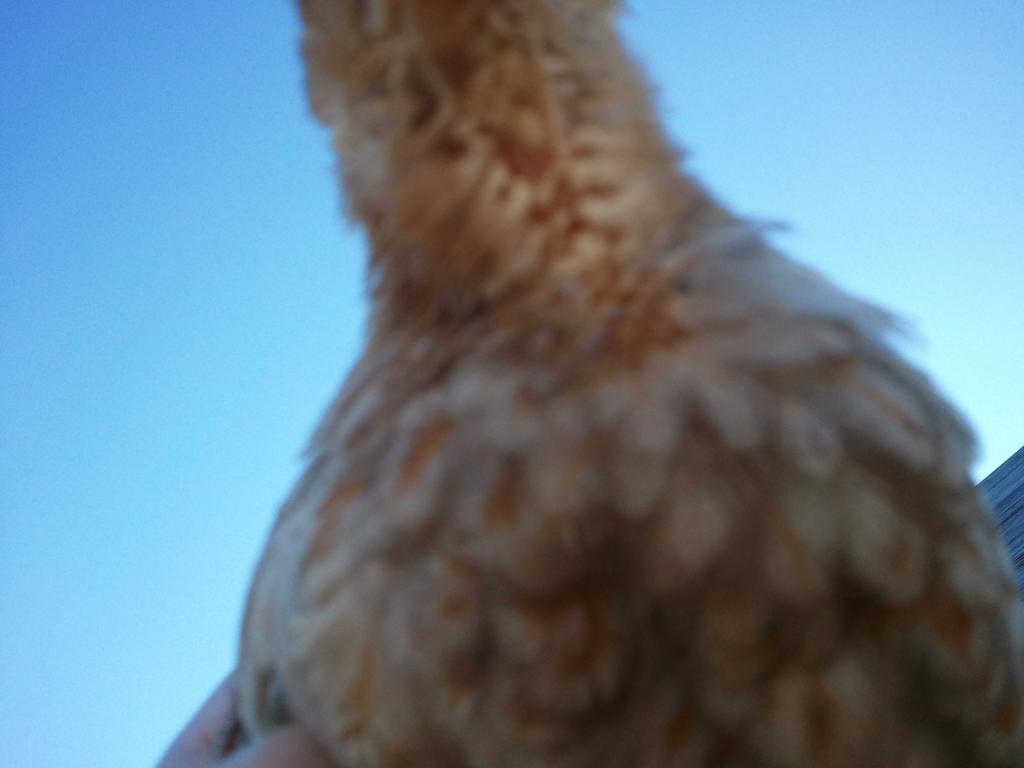 93634_2011-11-18_152944.jpg