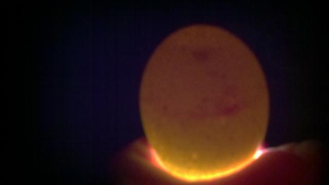93863_2011-06-30_21-23-24_370.jpg