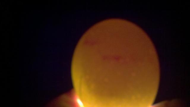 93863_2011-06-30_21-23-44_669.jpg