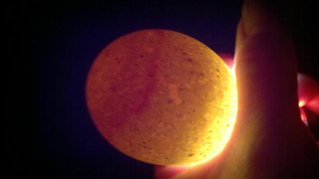 93863_2011-06-30_21-23-58_356.jpg